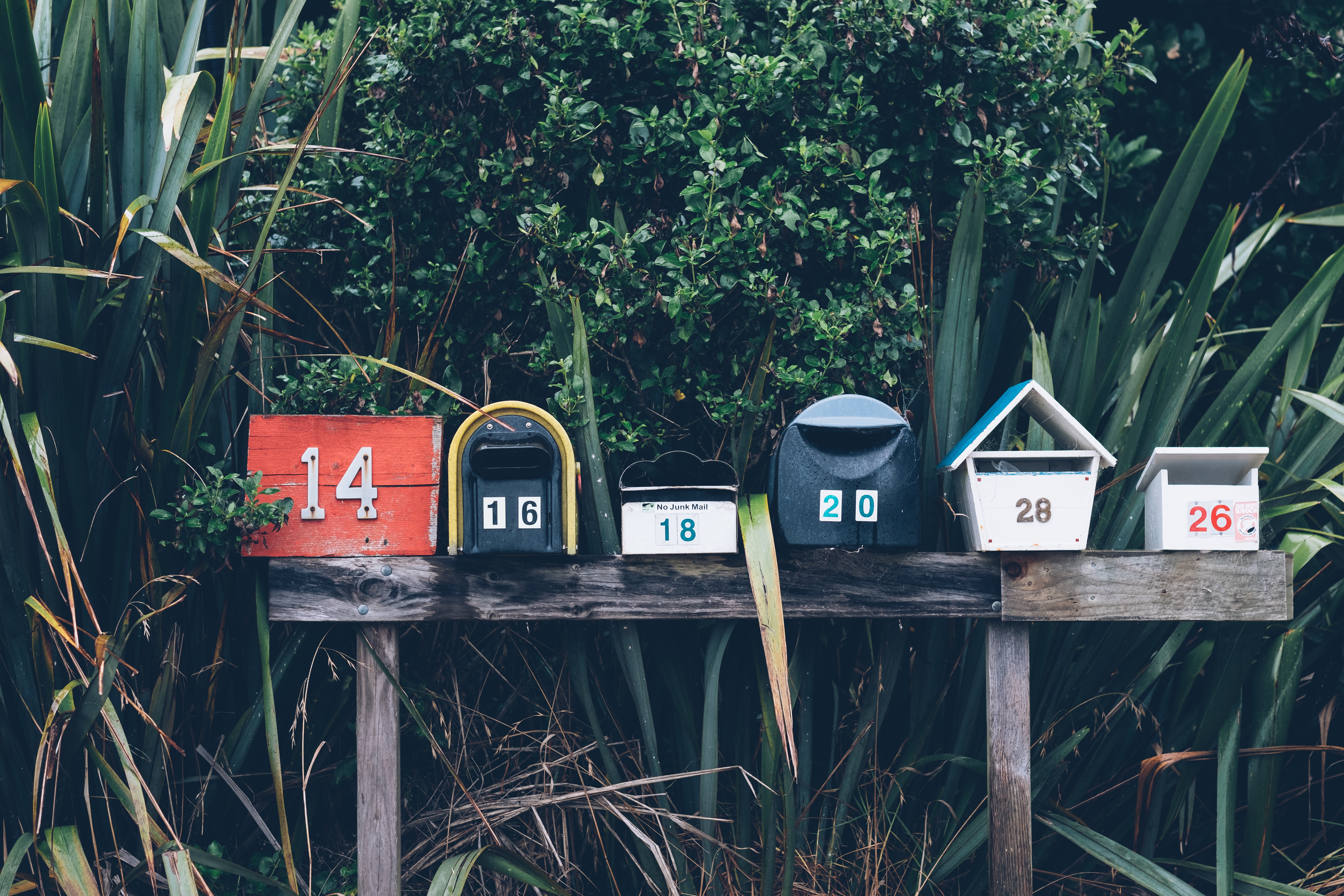 newsletter